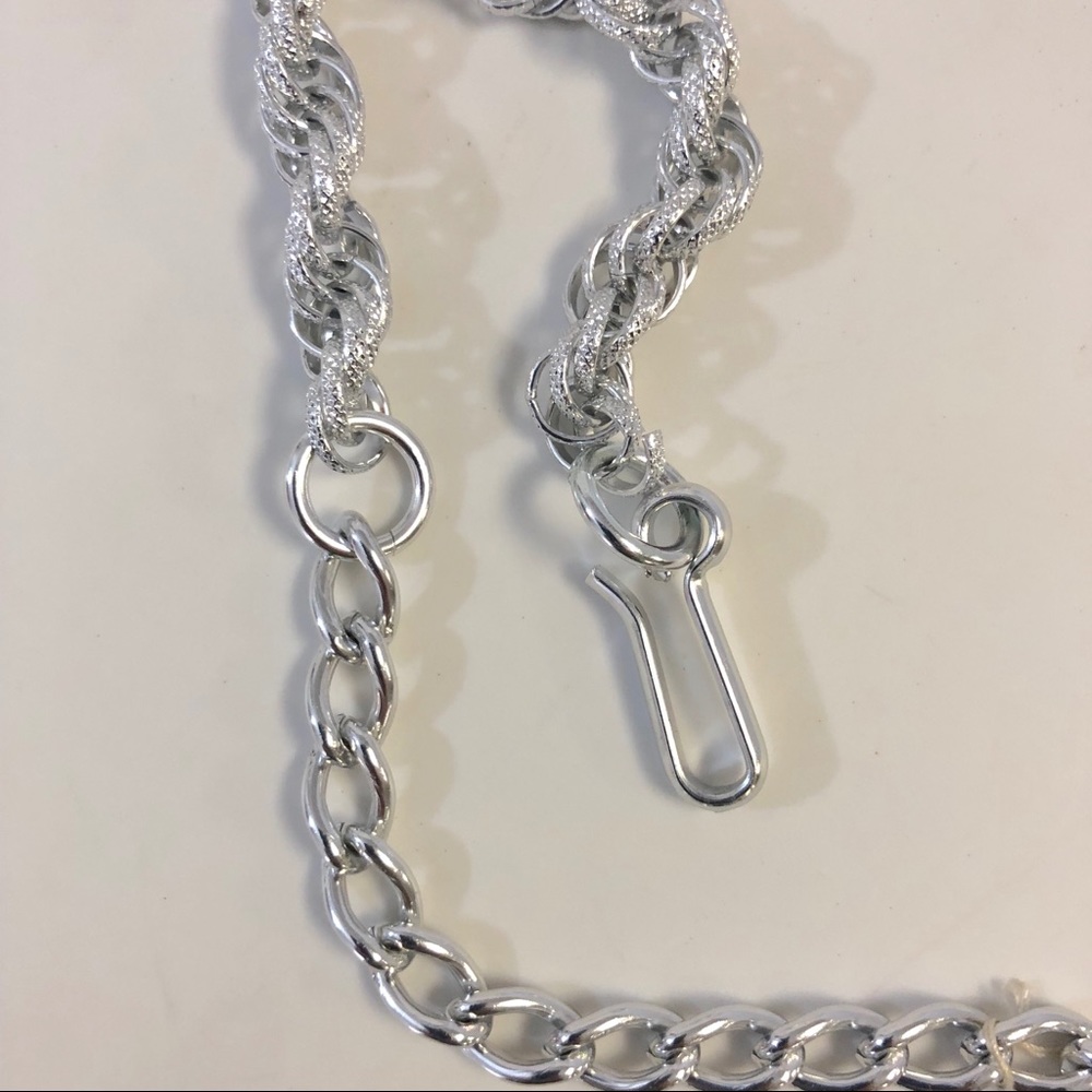 Chain Belt - Picture 3 of 5